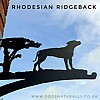 Rhodesian Ridgeback Wall Bracket